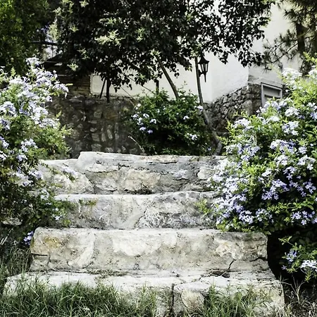 Homestay szállás Ovabuekue Pansiyon Muğla
